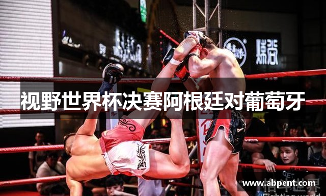 视野世界杯决赛阿根廷对葡萄牙